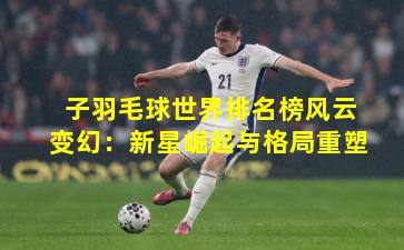 子羽毛球世界排名榜风云变幻：新星崛起与格局重塑