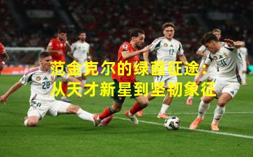 范金克尔的绿茵征途:从天才新星到坚韧象征
