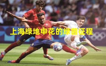 上海绿地申花的绿茵征程