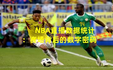 NBA直播数据统计：赛场背后的数字密码
